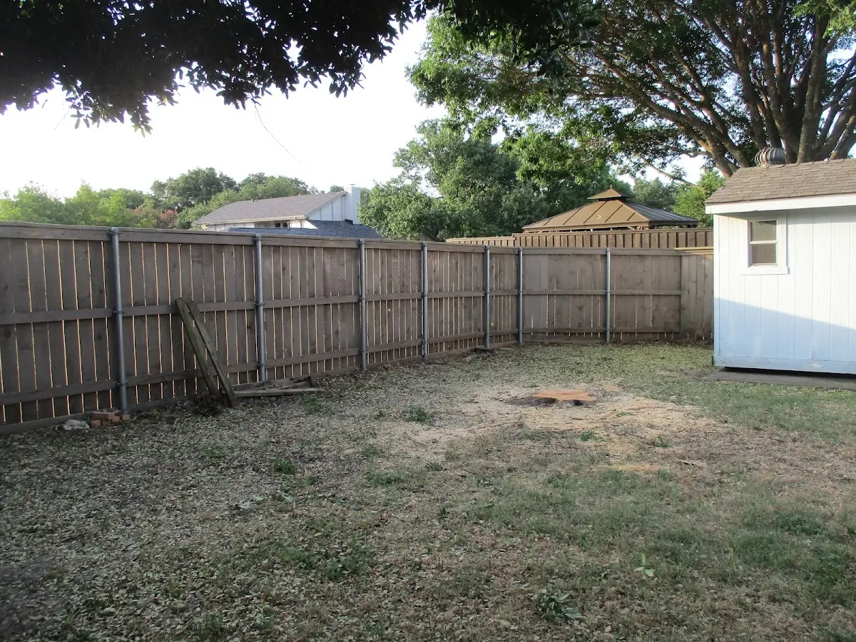 Cleared yard after professional tree removal in South Grafton